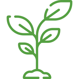 Tree Plantations